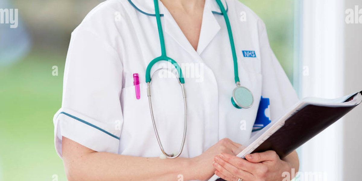 The concept of a BSN virtual preceptor Capella experience